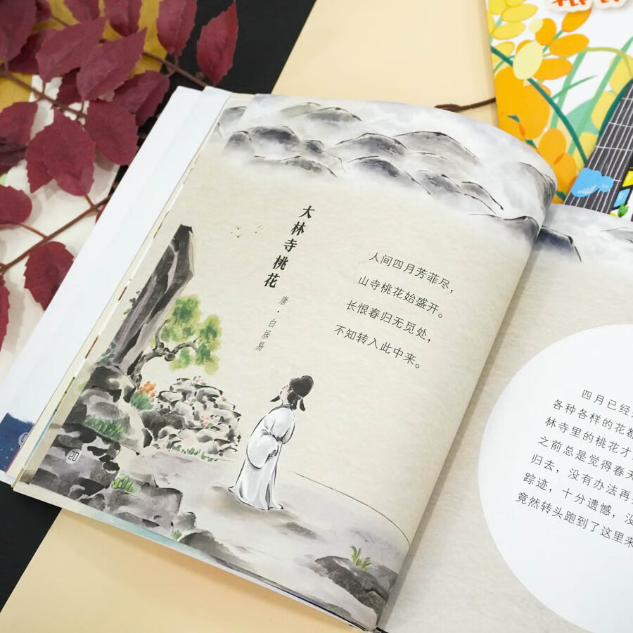 5-8岁幼小衔接大语文启蒙《语文趣多多》5本主题阅读语文知识童话科普童趣温情绘本