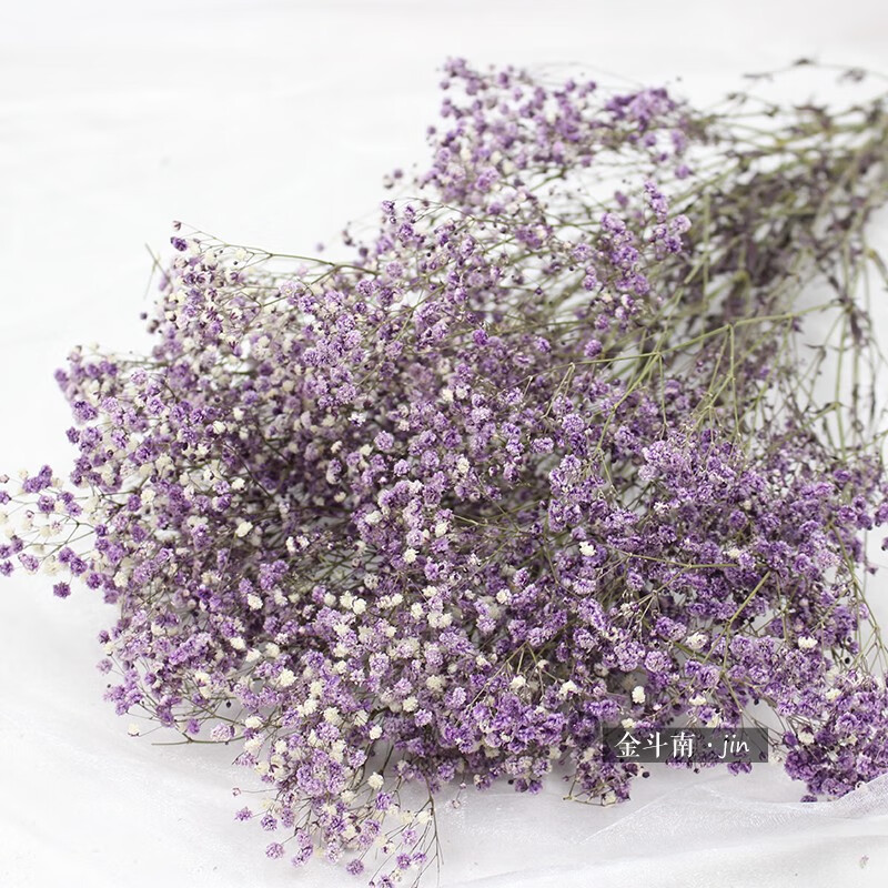 云南满天星干花永生花吸色满天星干花天然百万星千万星产地直发 永生