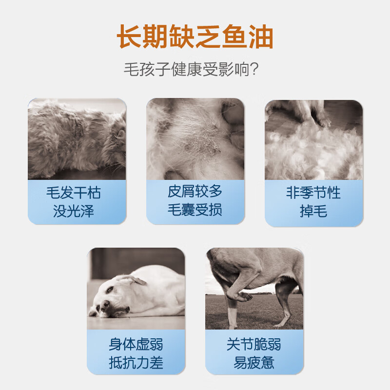 喵卡哆夫【MAKAR】宠物维生素益生菌卵磷脂鱼油 去泪痕美毛呕吐软便防掉毛 卵磷脂鱼油 【3瓶装】600片