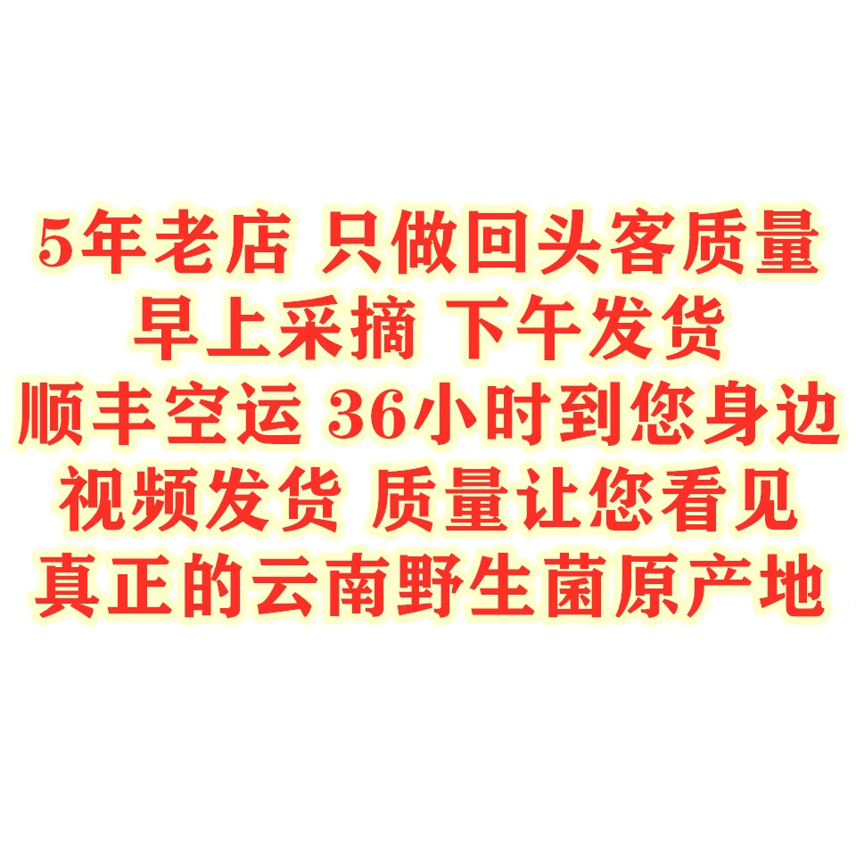 云南野生见手青新鲜牛肝菌当季野生菌红葱蘑菇野生顺丰现发见手青 520g一斤精品质量装