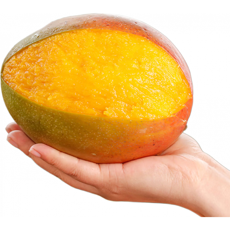 ũ Ĵ֦â 4.5 290-400g 11.89Ԫ