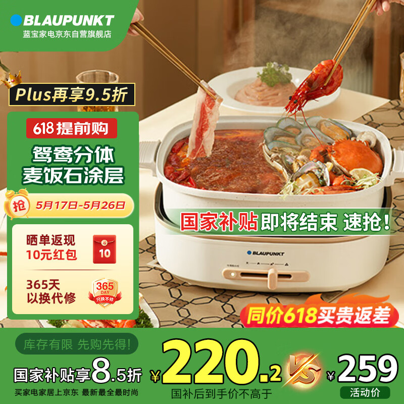 ������BLAUPUNKT��ԧ���������ʽ���ȹ��ɲ�ϴ���ö๦���������������������տ���峴�������Ͱ�