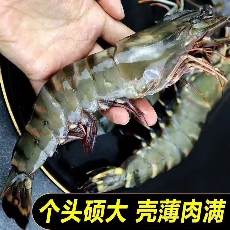 翰鸥斐进口高品质活冻气冻黑虎虾 超大虾类大虾生鲜老虎虾冰鲜海虾礼盒 超大黑虎虾王【3只共2斤】 1000g(净重)