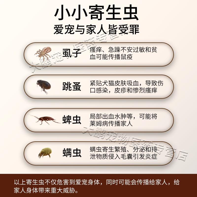 宠康源猫咪沐浴露清洁驱虫止痒除螨去蜱虫跳蚤虱子除臭抑菌幼猫专用洗澡 一瓶装【效果好 怕不够用】