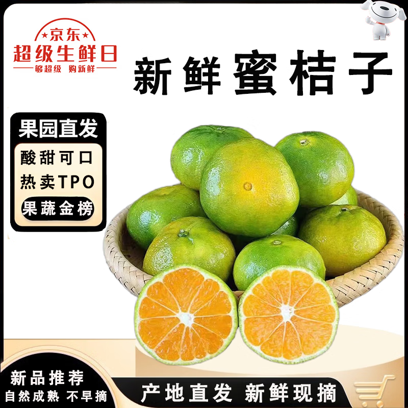 闽域寻鲜湖北青皮蜜桔当季青皮橘子酸甜橘子青桔子新鲜应季湖北水果蜜桔子 5斤【单果45-50mm】净重4.5斤 橘子爱好者