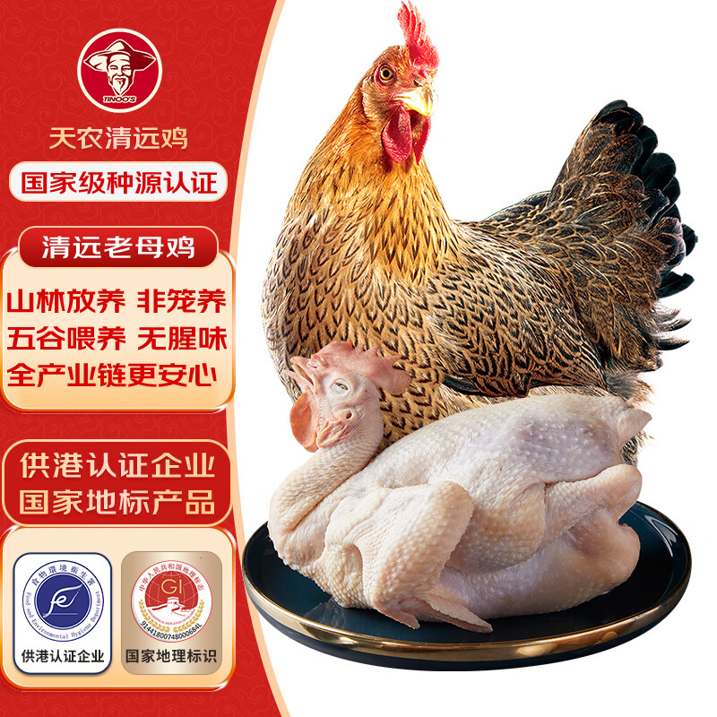 天农 清远鸡老母鸡1.8斤 山林散养365天土鸡走地鸡 冷冻 月子鸡汤食材