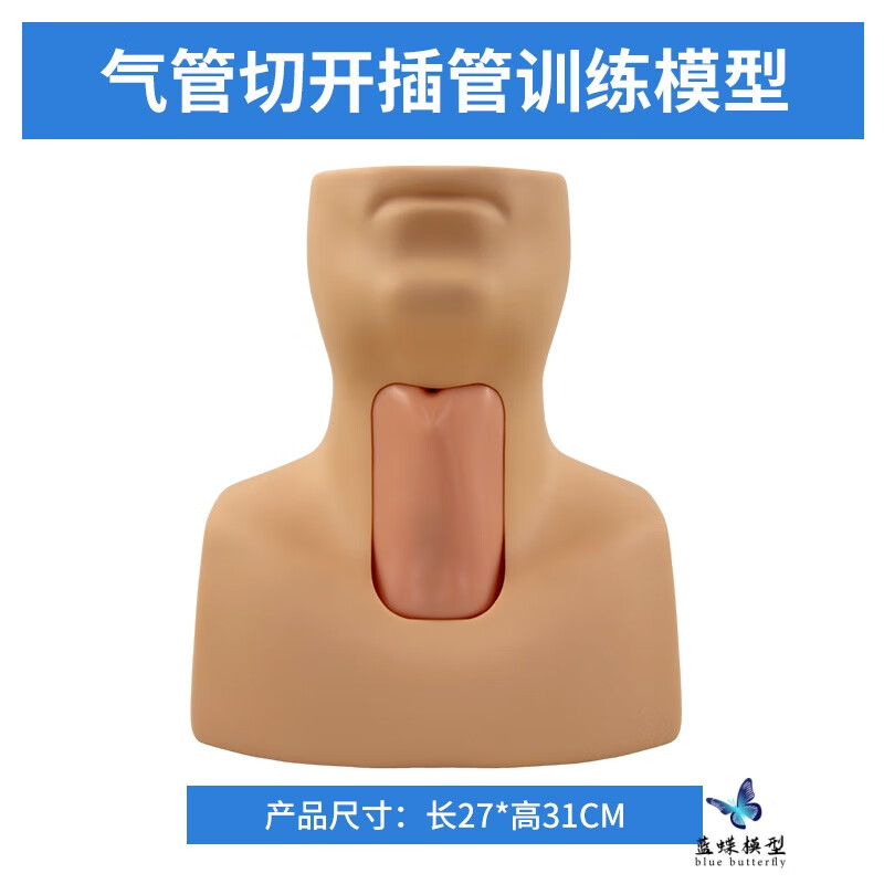 蓝蝶j58气管切开插管训练模型环甲膜/环状软骨切开术皮气管切开术训练