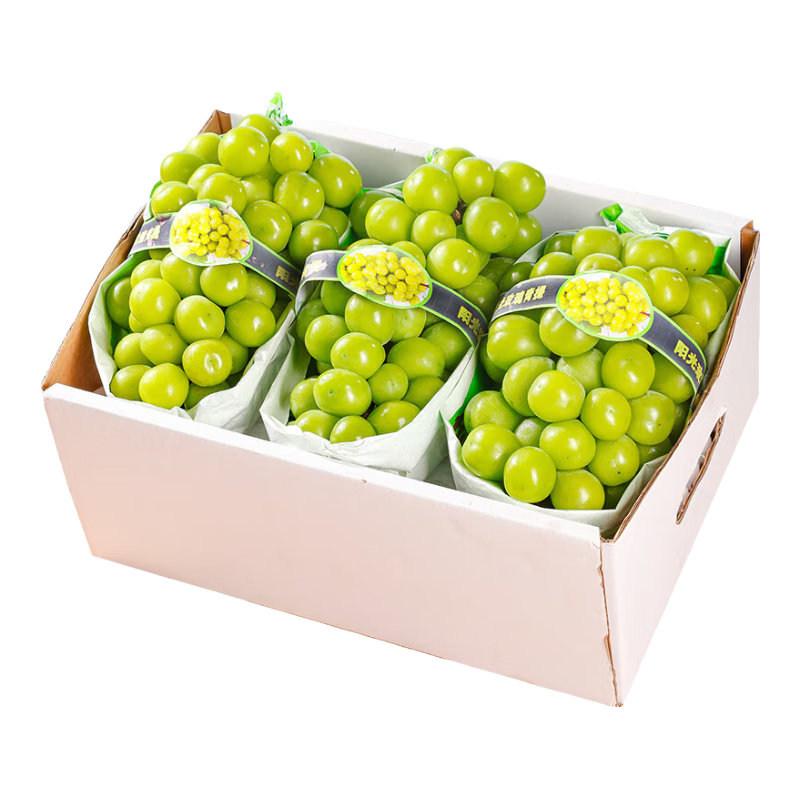 ���ڲ�����ԣ������õ�������������������Ĵ�Ӧ����ӡ����ʱ�������и�ˮ����� ����5�ﵥ��6-12g����װ