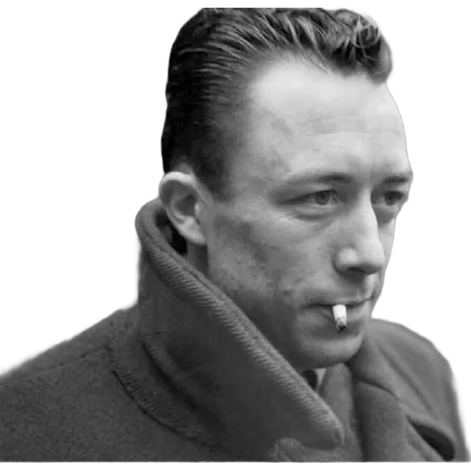 局外人 諾貝爾文學(xué)獎獲獎?wù)呒涌姶碜?柳鳴九經(jīng)典全譯本 附柳鳴九先生10200字導讀 2016修訂版 外國文學(xué) 果麥圖書(shū) 局外人