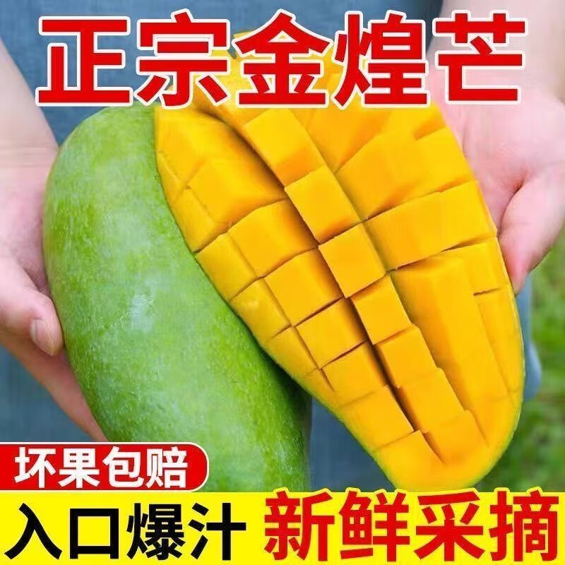 果迎鲜 广西金煌芒 芒果 青皮芒果 新鲜水果 生鲜 青芒果 净果4.5斤