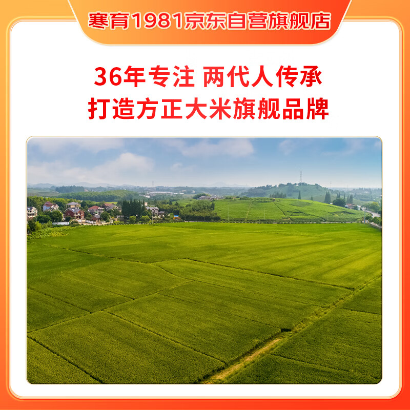 图 9