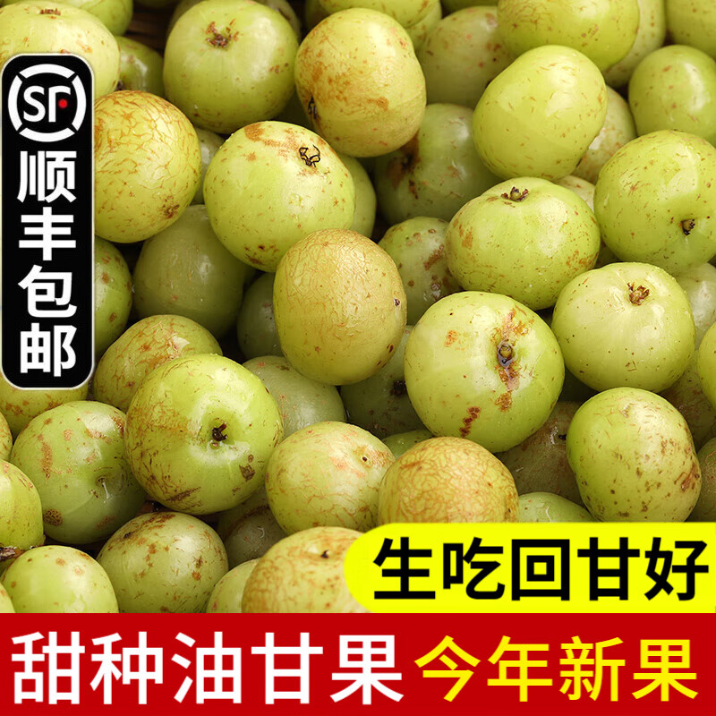 辰实【顺丰】油甘果 新鲜潮汕余甘果牛甘果 榨汁生吃珍珠油甘 2斤甜种油柑果（回甘好）