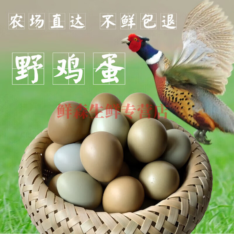 七彩山雞蛋60枚農(nóng)村雜糧散養(yǎng)野金雞蛋笨雞蛋秒發(fā)寶寶雞蛋 10枚