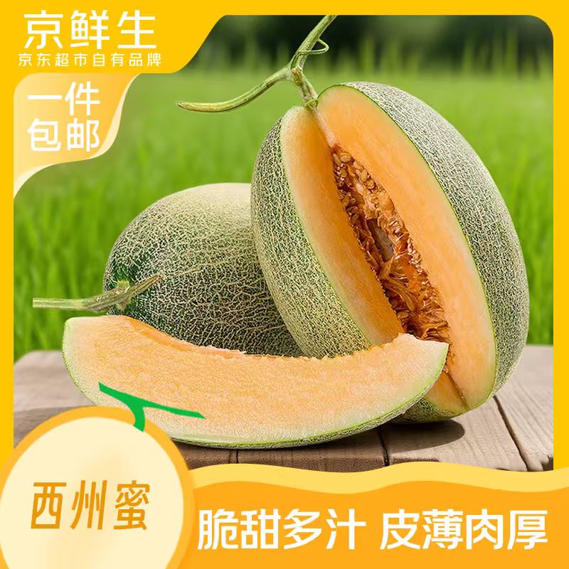 ������ �����۹��ܹ� ����8-9��2-4�� Դͷֱ�� ���� 