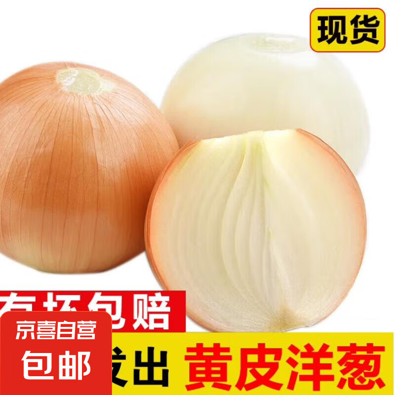 新鲜洋葱水果黄洋葱超市即食大个葱头 黄洋葱 500g