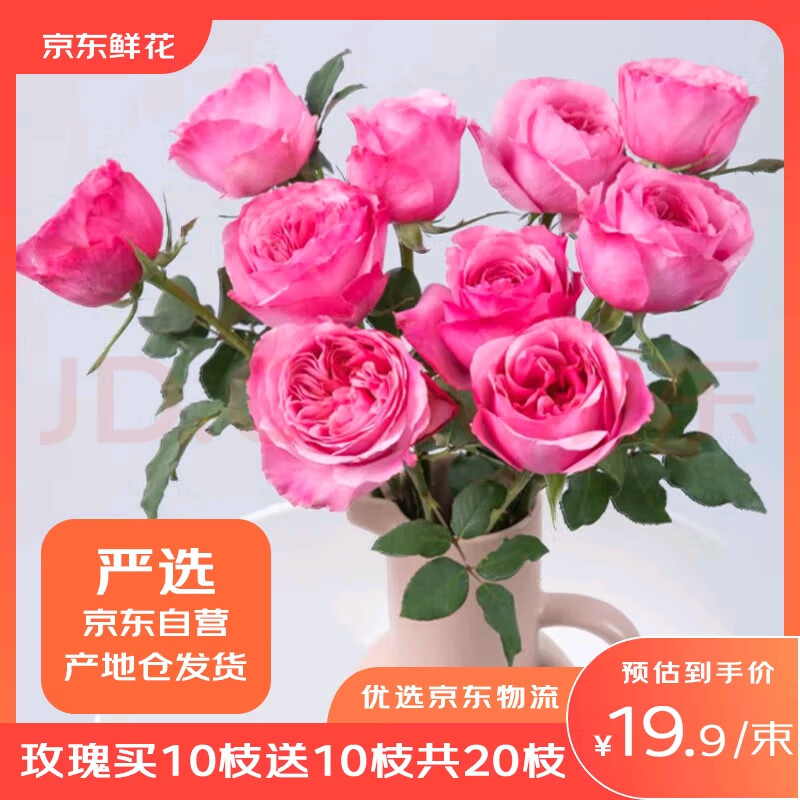 �����ʻ�õ�廨10֦��10֦�ʻ���20֦��ɫ���������������Դͷֱ��