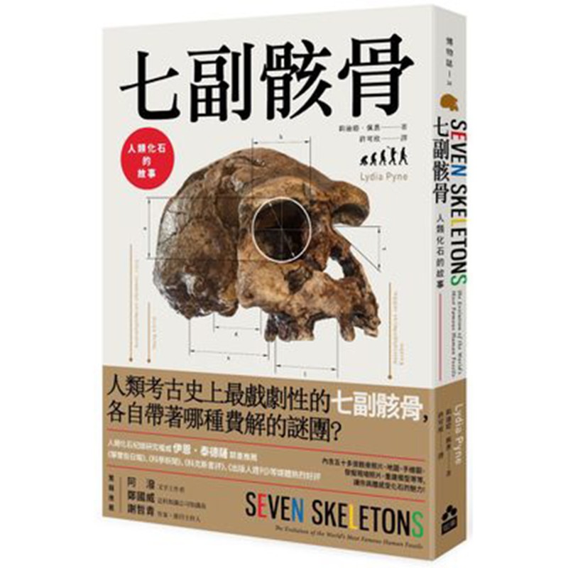现货台版 七副骸骨 人类化石的故事 人文科学