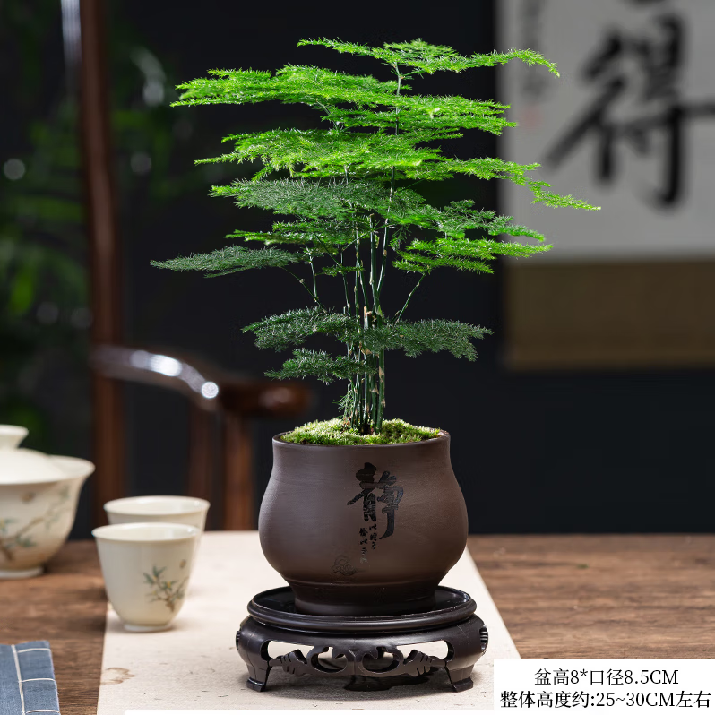 ������������ڼ��ļ�����԰����׮ֲ���׻��ֲ�����´������� ����+�����մ���+̦޺+����