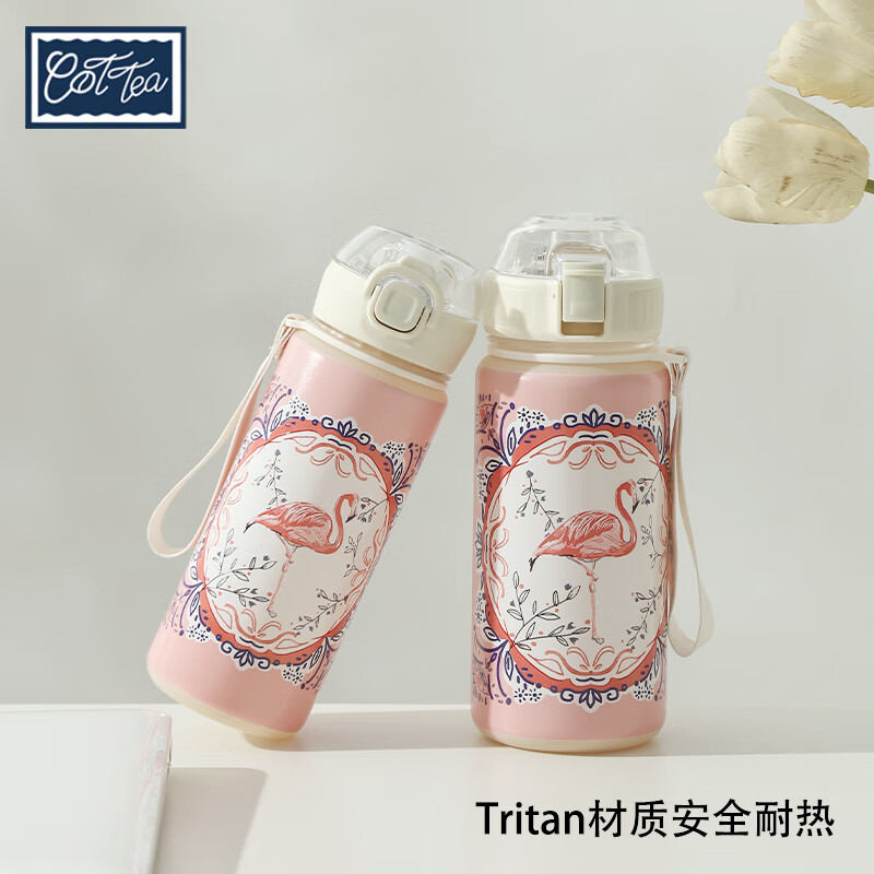 TAEFAIR火烈鸟弹跳杯Tritan茶水分离学生成人便携英式创意含茶滤泡茶水杯 C-镜框火烈鸟Tritan弹跳杯650ml