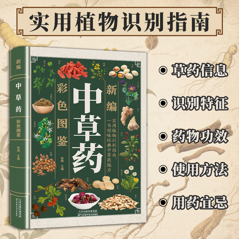新编中草药彩色图鉴常用中药手绘彩色图谱 彩色图鉴图解中草药中药材图谱手绘图精选300余种常用中药材草药识别鉴别 中医养生保健类书籍