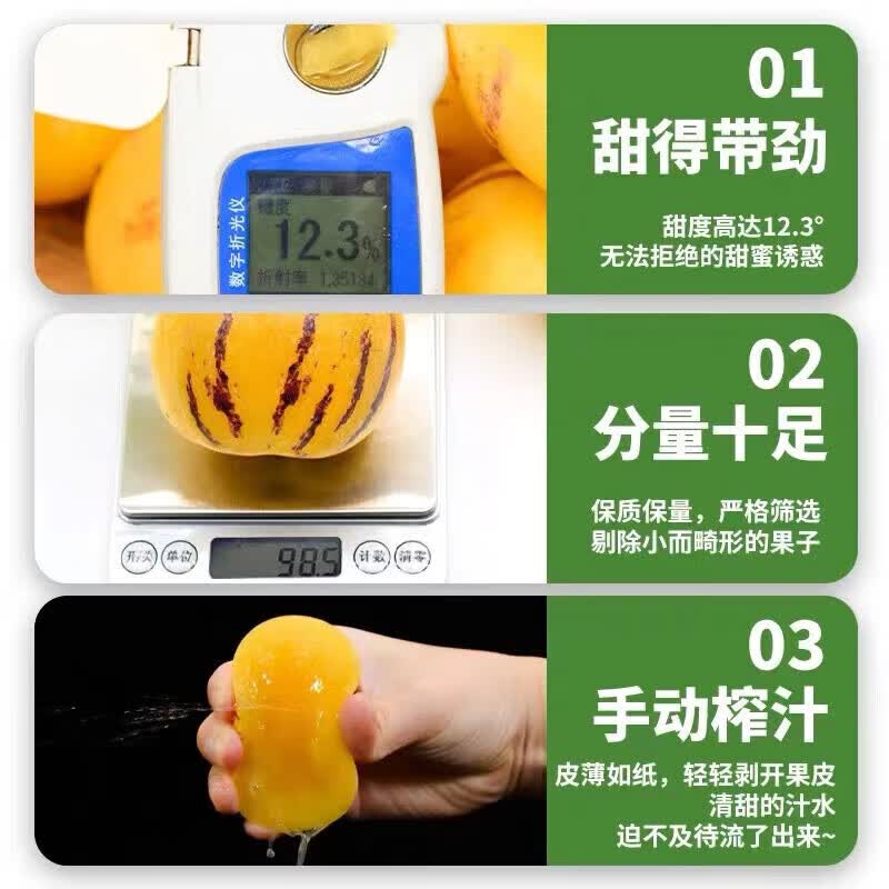 鲸咚亿农云南树上熟石林人参果新鲜水果七彩黄肉圆果人生果礼盒整箱 9斤特大果【单果100-120g】
