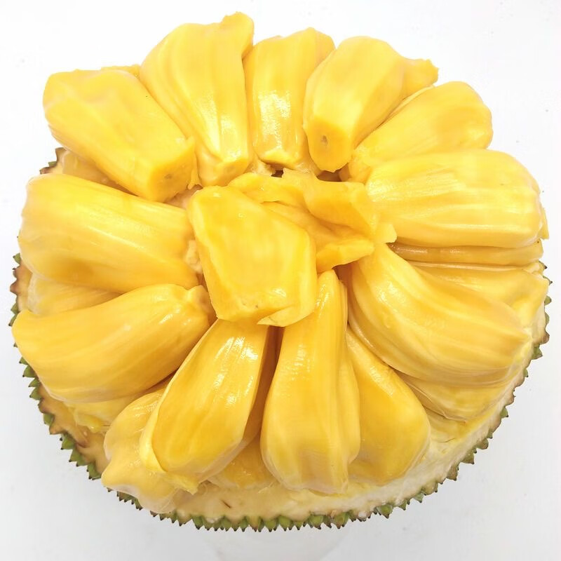 鲜耐海南黄肉菠萝蜜新鲜水果当季整个波罗蜜热带干苞smzdm 黄肉菠萝蜜 35-40斤(一个果)