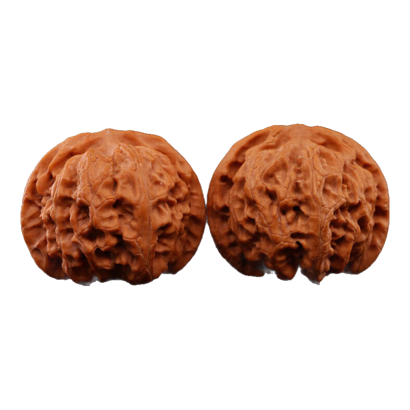 ɽ���� ʨ��ͷ������� �ְѼ� 38-39mm ƻ��԰ �������� 103.68Ԫ