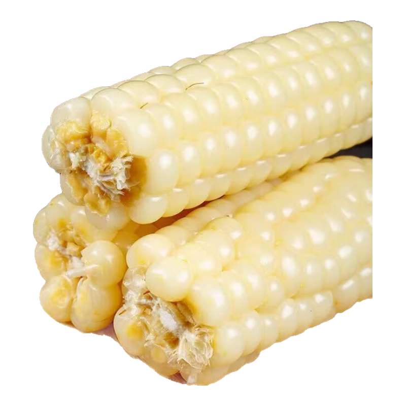 ���ڲ���������Ĵָ���� ��Ŵ��Ŵ��Ŵ��˫���������ͯС���״������� ��ѡĴָ����1002g Լ16-24�� 17.8Ԫ