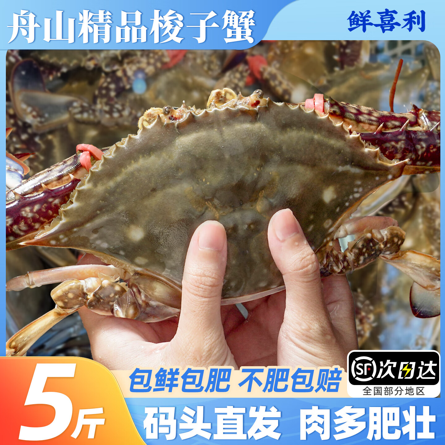 梭子蟹鲜活特大野生舟山大螃蟹海鲜新鲜冷冻海蟹水产飞蟹白蟹顺丰 5-7两/只 【净重4斤大号梭子蟹】