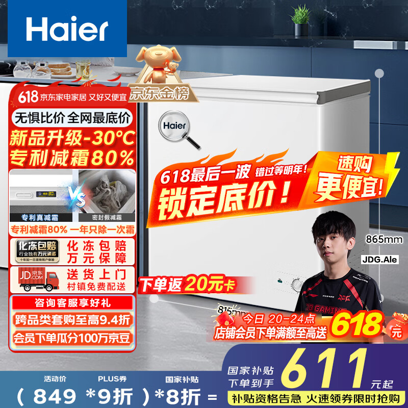 海尔（Haier）家用冰柜京东自营200升小冰箱小型冷柜大容量-30度深冷速冻保鲜BC/BD-200GHW9D家电国家补贴20%
