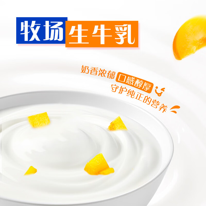蒙牛纯甄黄桃果粒风味酸奶200g*10盒 夏日解腻伴侣 中秋送礼盒装