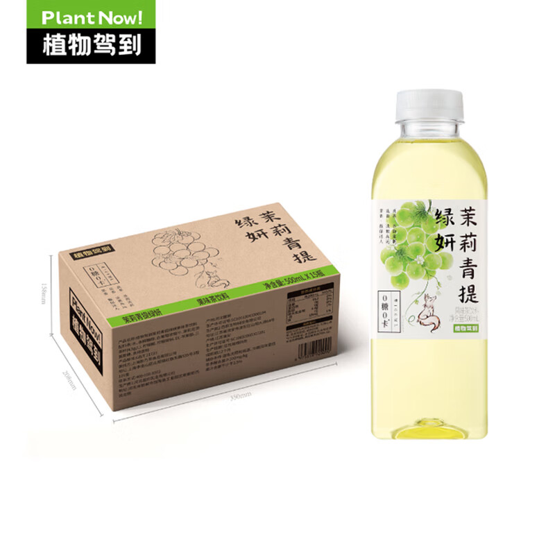 植物驾到无糖茶饮料茉莉青提绿妍500ml*15瓶整箱 0糖0卡0脂饮品火锅