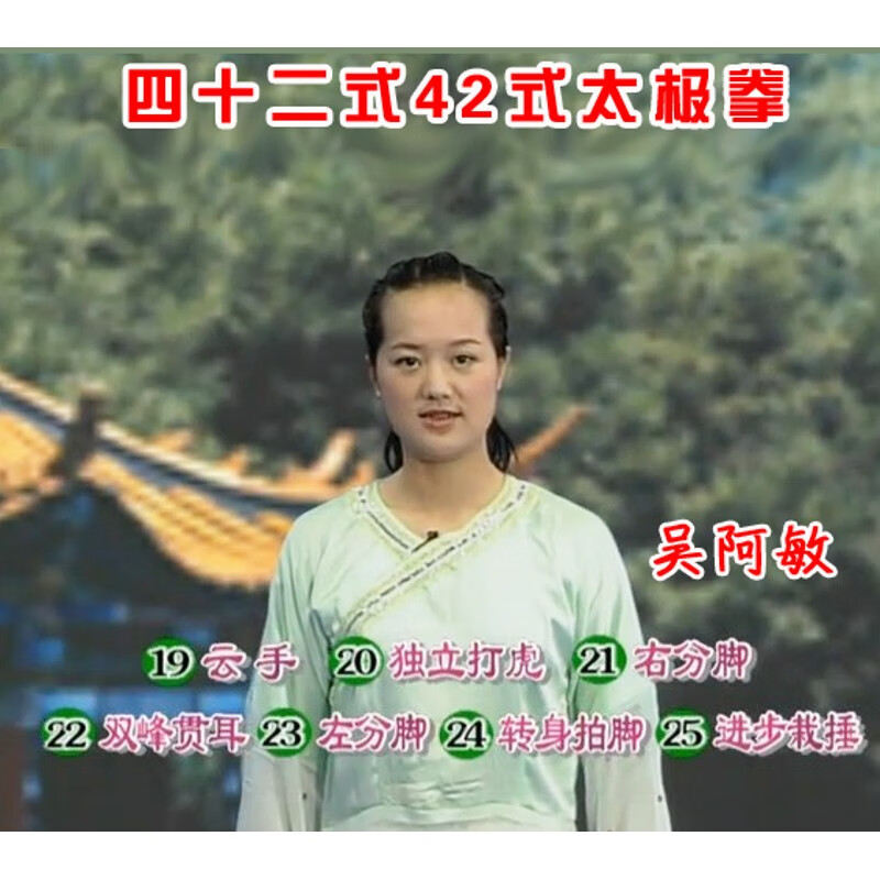 吴阿敏42式太极拳u盘四十二式示范教学视频教程下载dvd光盘光碟 dvd