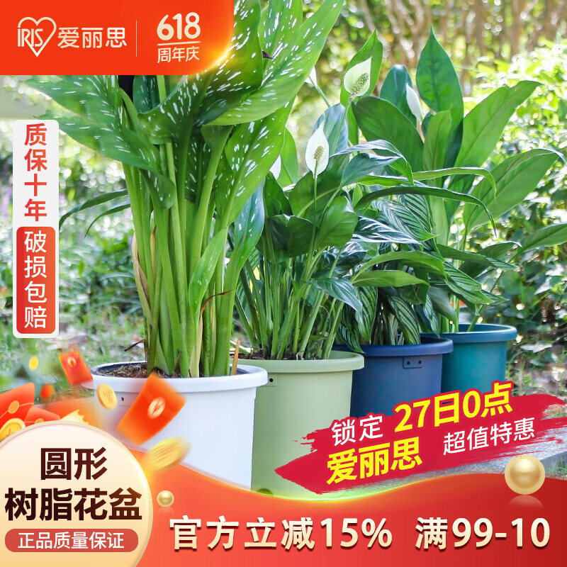爱丽思花盆塑料圆形树脂多肉花盆种花种菜盆绿萝爱丽丝 白色口径20.3cm