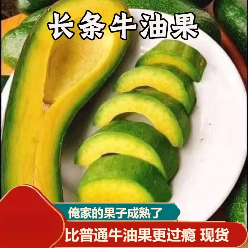 越南进口牛油果304长条大果新鲜当季热带水果果汁 1斤装【1斤约1-3个】 0个