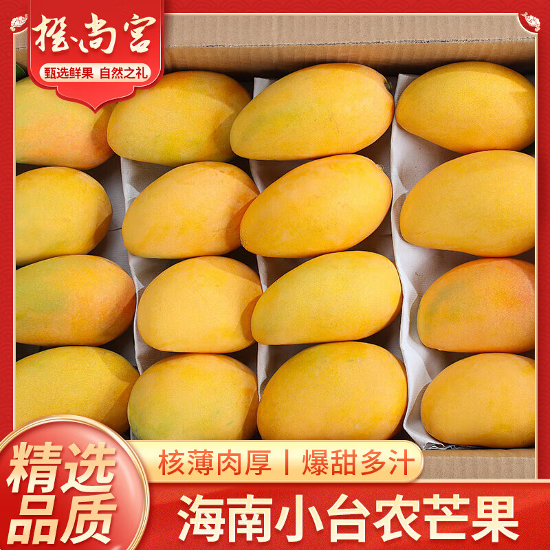 橙尚宫海南小台农芒果新鲜小台芒当季特产热带水果现摘鸡蛋芒果整箱 净重5斤【单果100g+】精选装