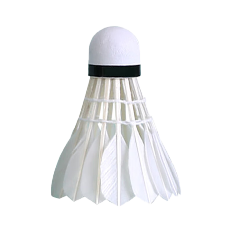 361?��ͥ����ѡѼë6ֻװ 1Ͳ 26.3Ԫ