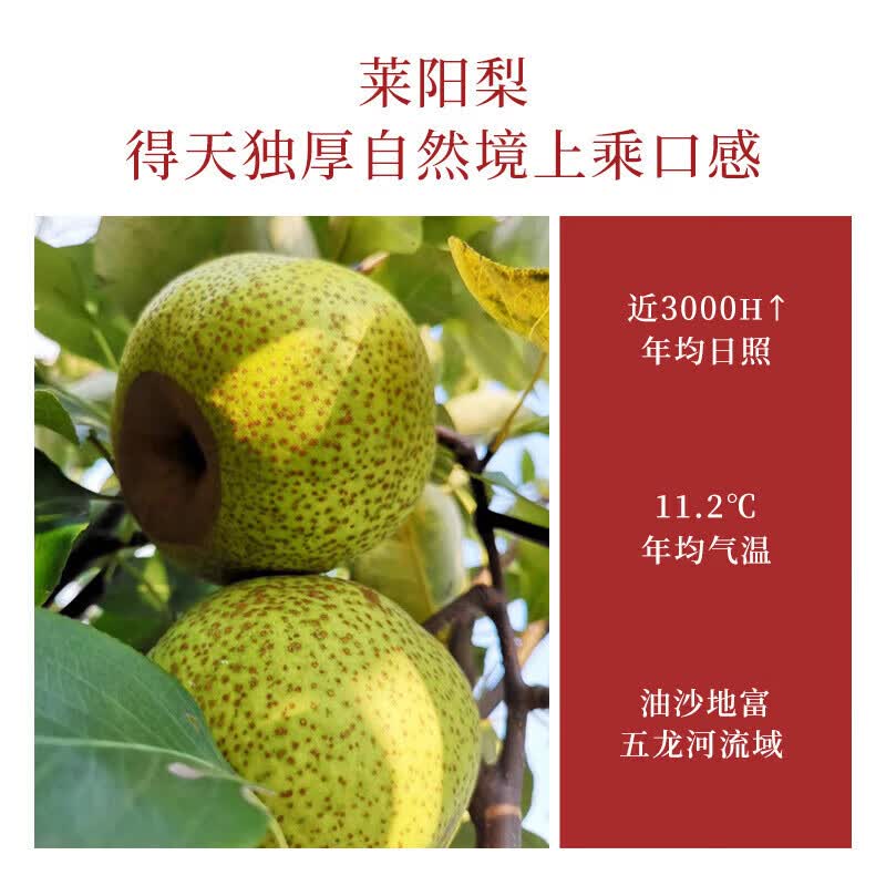 莱阳梨膏秋梨膏儿童添加0润肺咳止痰化老牌子古法熬制正宗莱阳特 2瓶装(260g*2瓶)