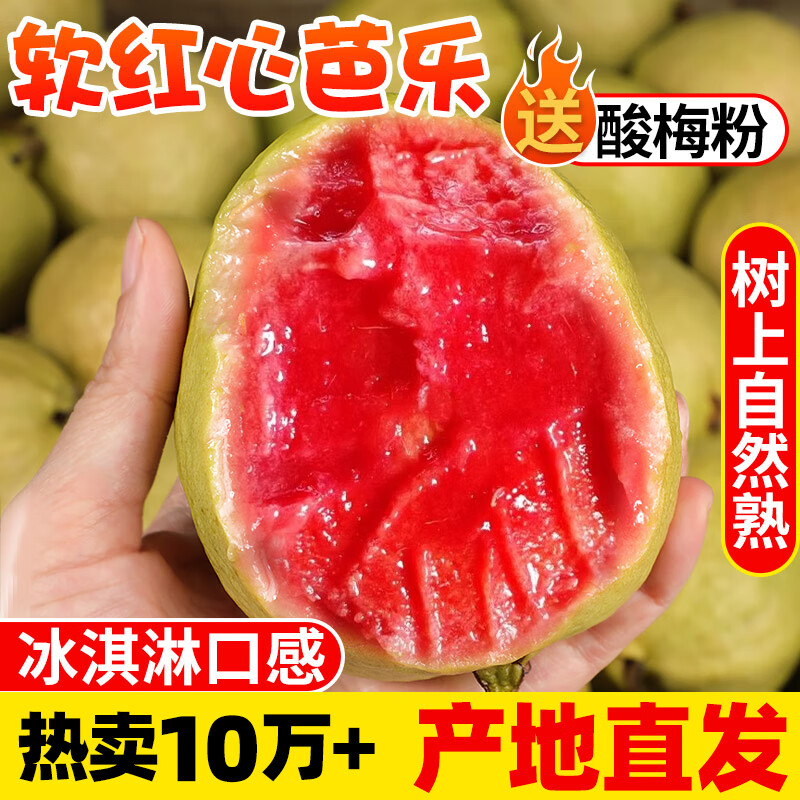探味君 广西红心芭乐番石榴 新鲜水果生鲜健康轻食带箱 软糯红心芭乐1斤