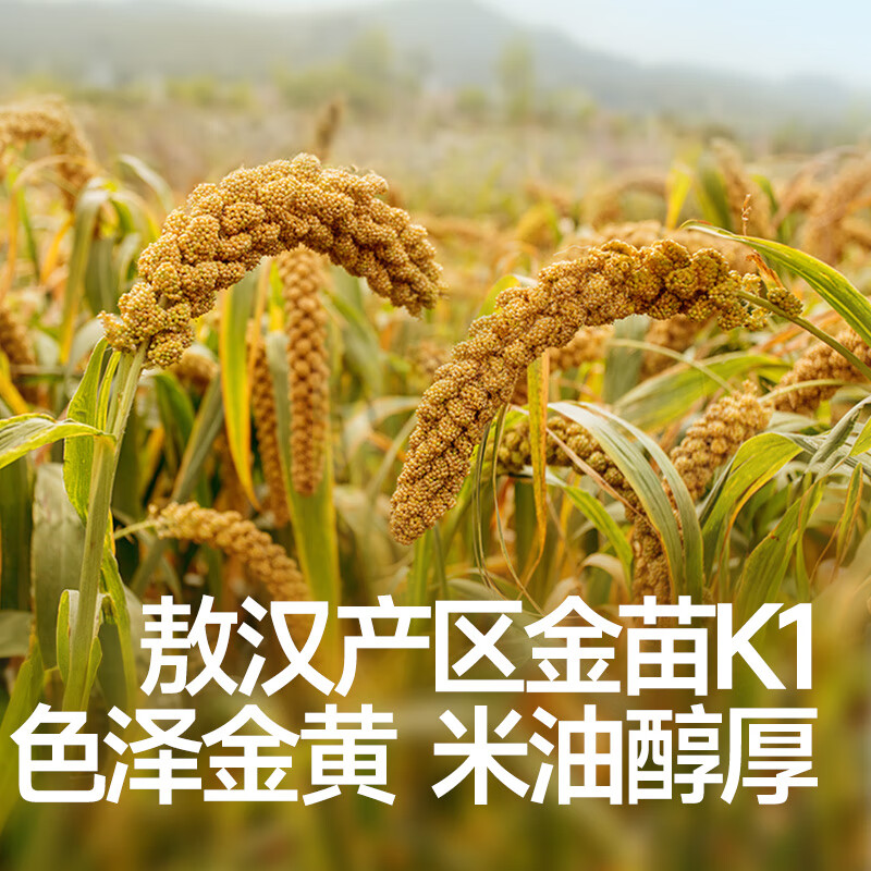 秋田满满黄小米新米东北有机五谷杂粮米粥300g,享婴幼儿宝宝辅食食谱 有机黄小米300g*3