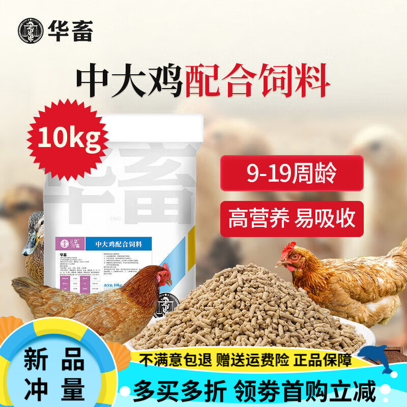 華畜中大雞顆粒全價(jià)料小雞飼料雛雞開(kāi)口料幼雞喂雞營(yíng)養(yǎng)小雞鴨通用 中大雞顆粒料20斤【實(shí)惠大包裝】