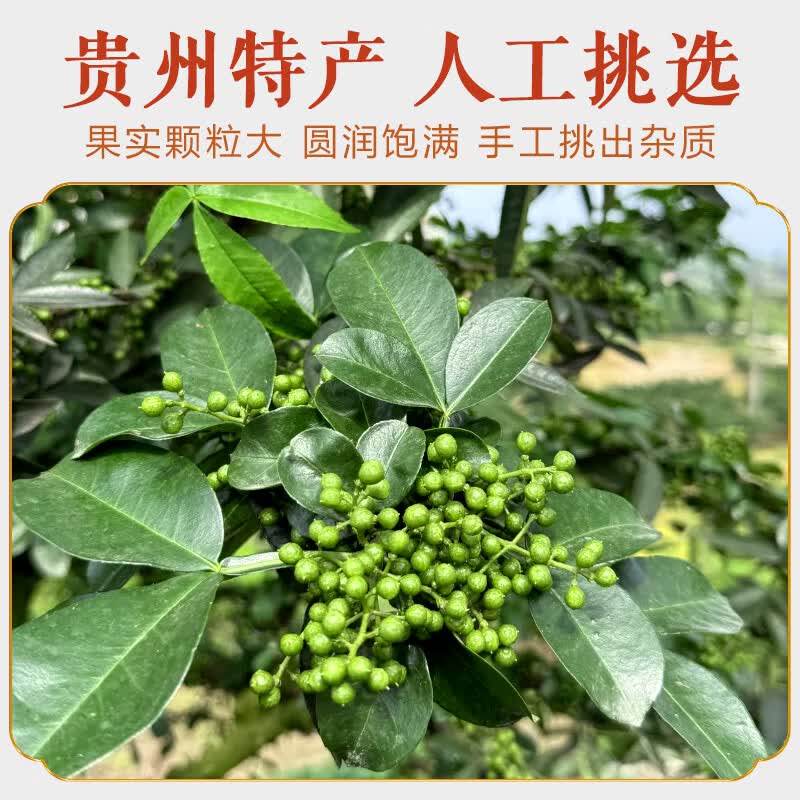 新鲜贵州青花椒350g 真空保鲜生麻椒商用 新鲜青花椒 350g *3袋