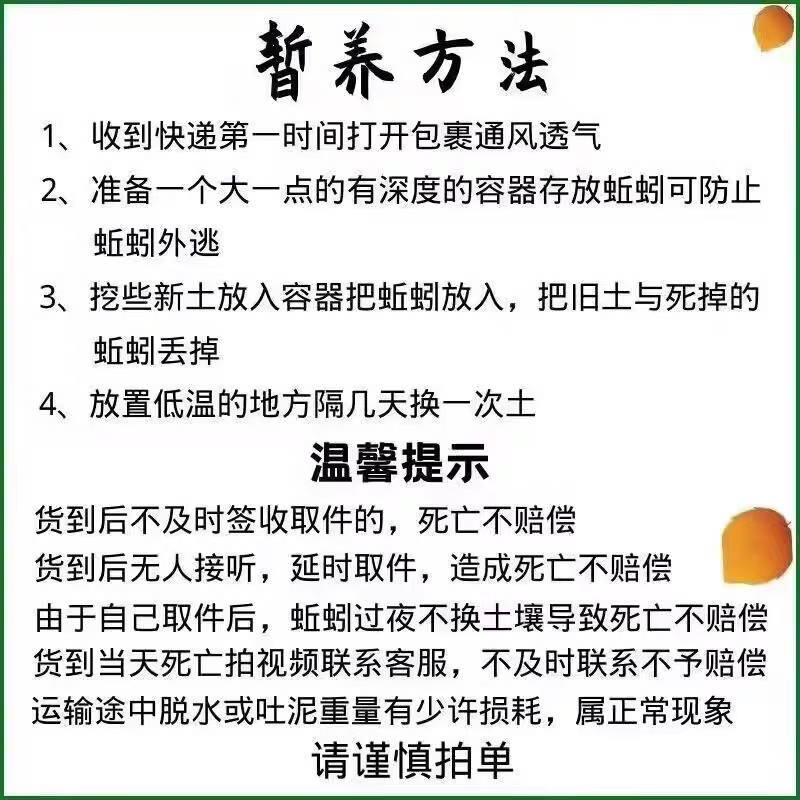 青蚯蚓鲜活鱼饵钓黄鳝青蚯蚓钓黄鳝诱饵活饵蚯蚓 中号1斤(顺丰快递)