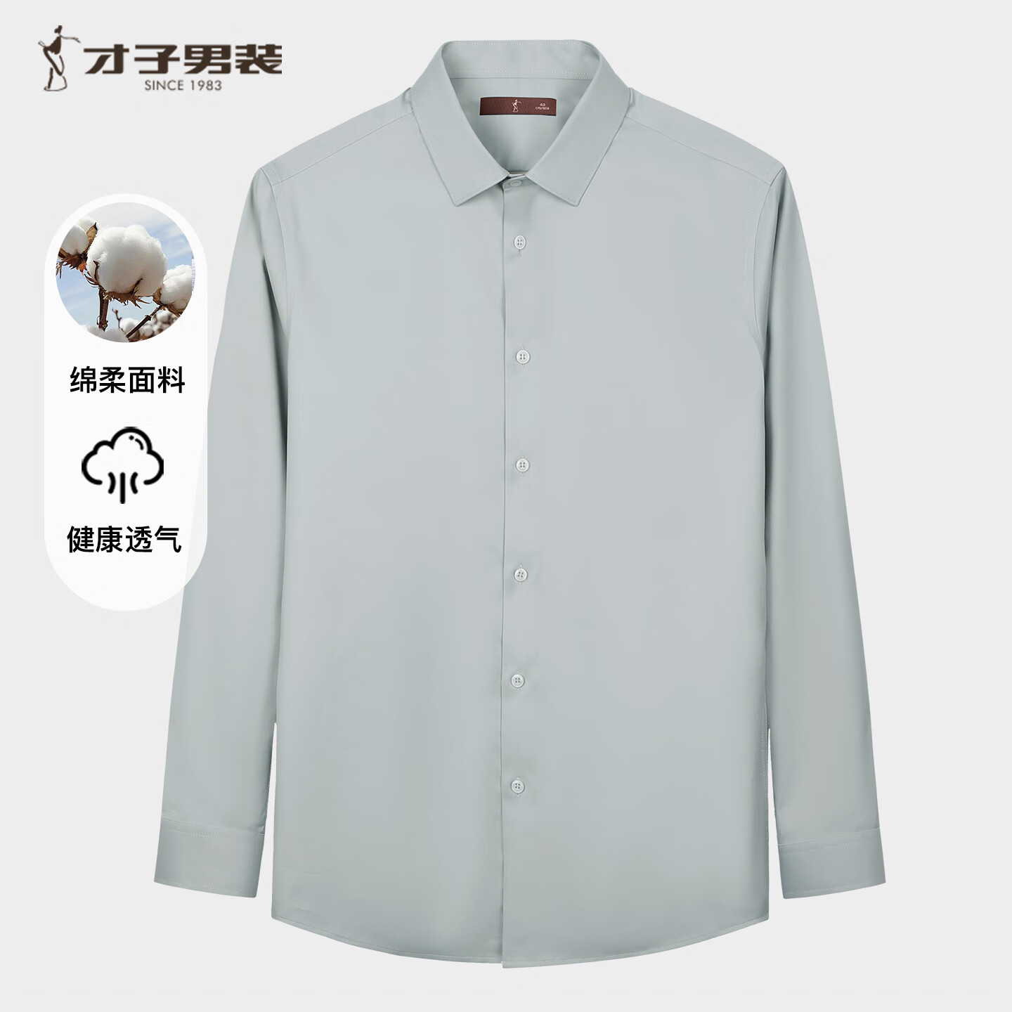 才子（TRIES）优质棉感男士长衬衫柔软顺滑挺括有型商务休闲职业男衬衣 灰绿色 XL 40(175/92A)