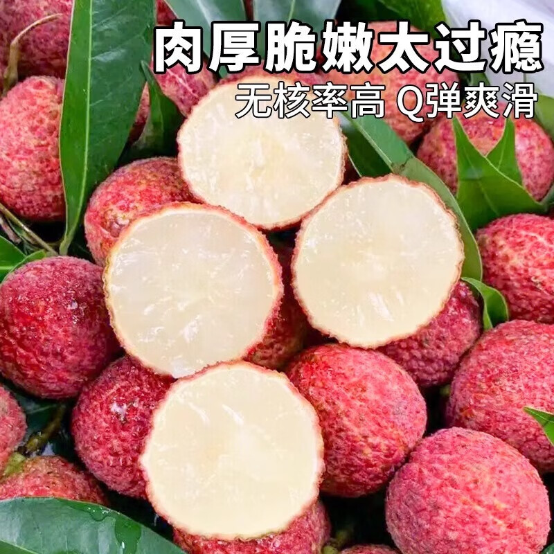 三萌果蔬海南无核荔枝【JD顺丰空运-闪送】新鲜荔枝水果礼盒端午节送礼 7A级精品果丨1斤约20-24个 5斤装【80%的人选-超划算】净4斤