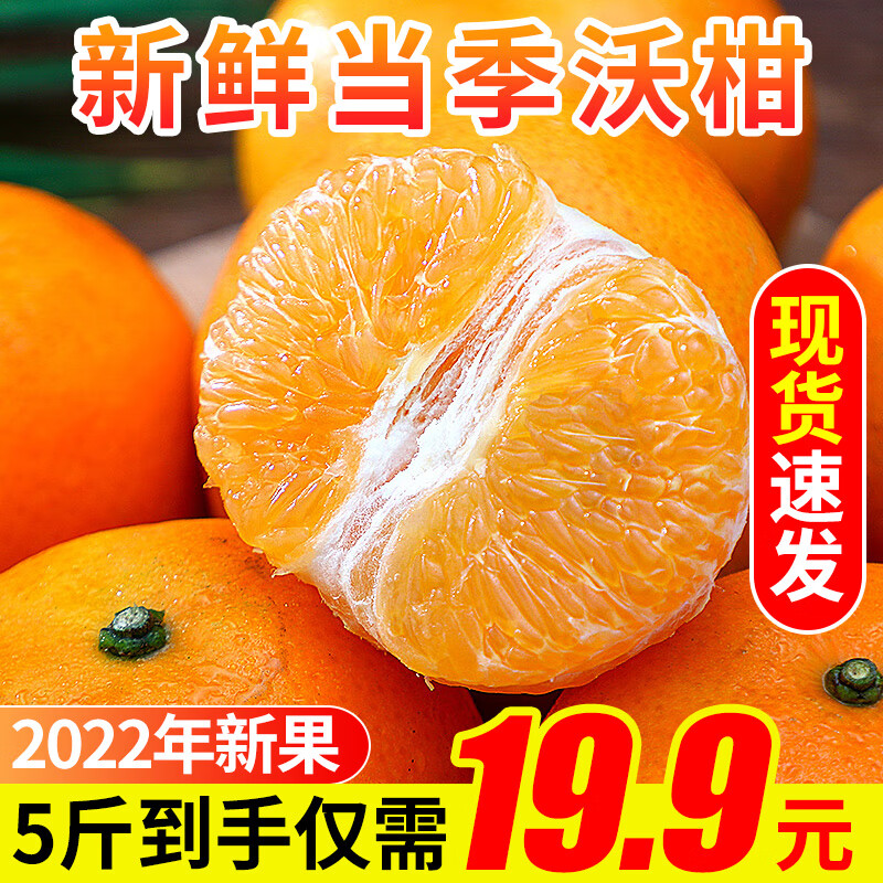 近期桔橘的价格走势|桔橘价格历史