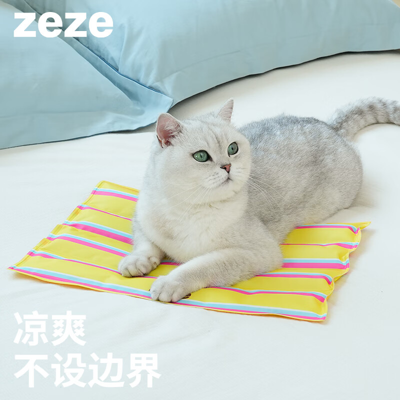 ZEZE������湷����ϯ�����ļ�è����ѽ�������˯��è��ͨ�ñ���
