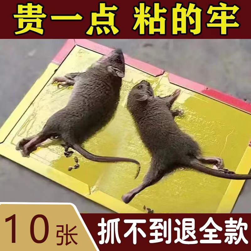 老鼠贴超强力 粘鼠板强力胶粘大老鼠贴胶抓鼠灭鼠捕鼠神器超强家 高效升级加大加厚【10张硬板装】 京东折扣/优惠券