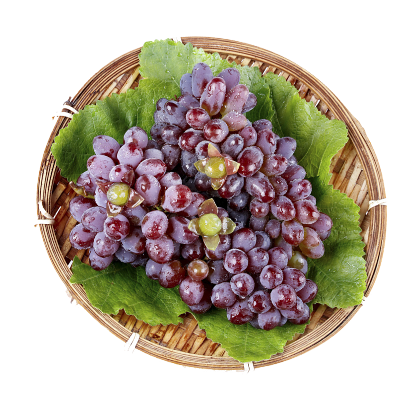 ������ ���������� 4��װ