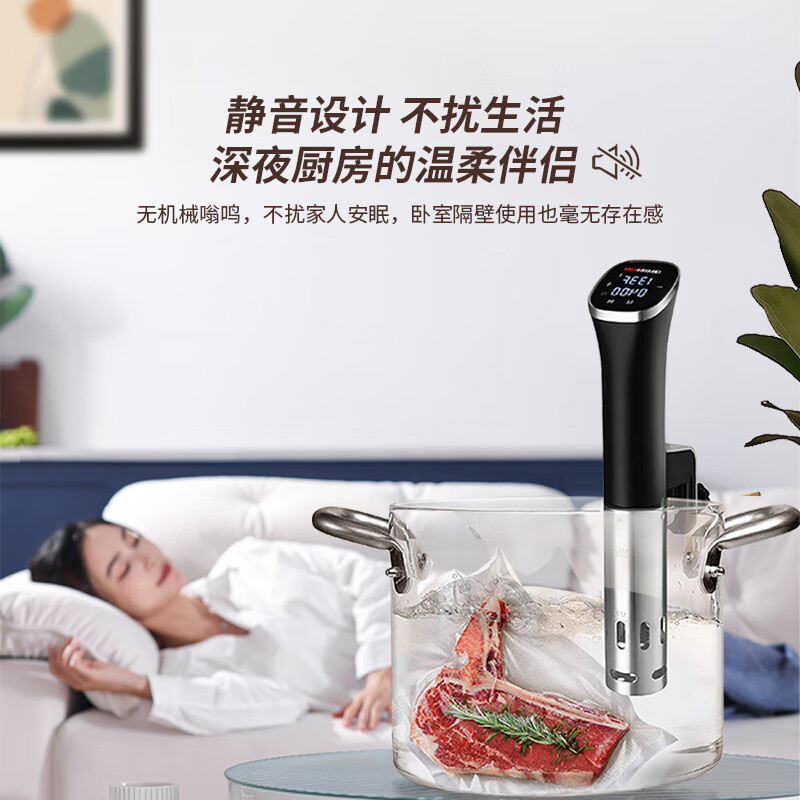 Creativechef【西班牙】低温慢煮机家用真空恒温料理机分子料理机舒肥机牛排鸡排三文鱼温泉蛋烹饪低温慢煮棒 【京仓发货SV16Pro智能APP】下单送6L水箱
